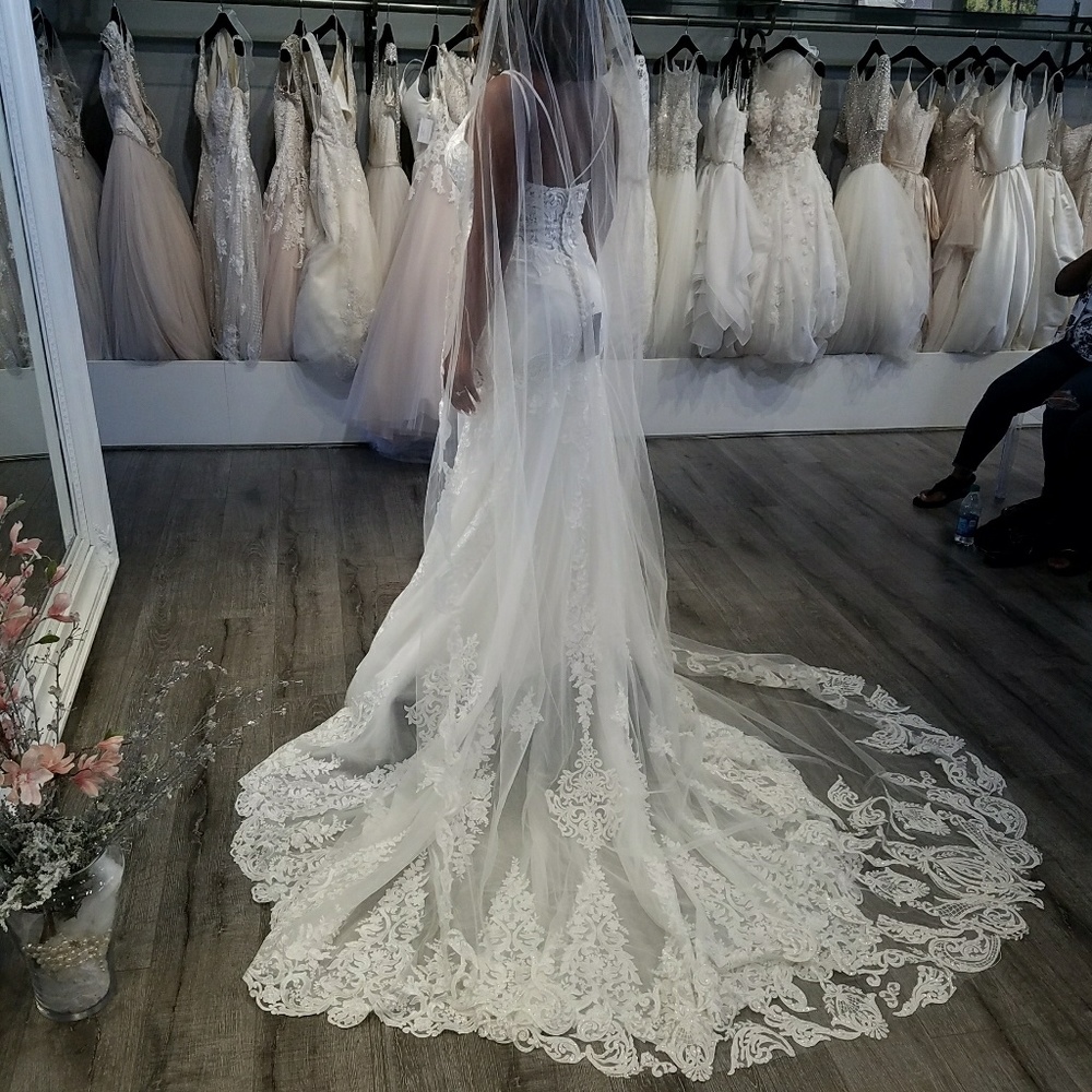 Beautiful Veil